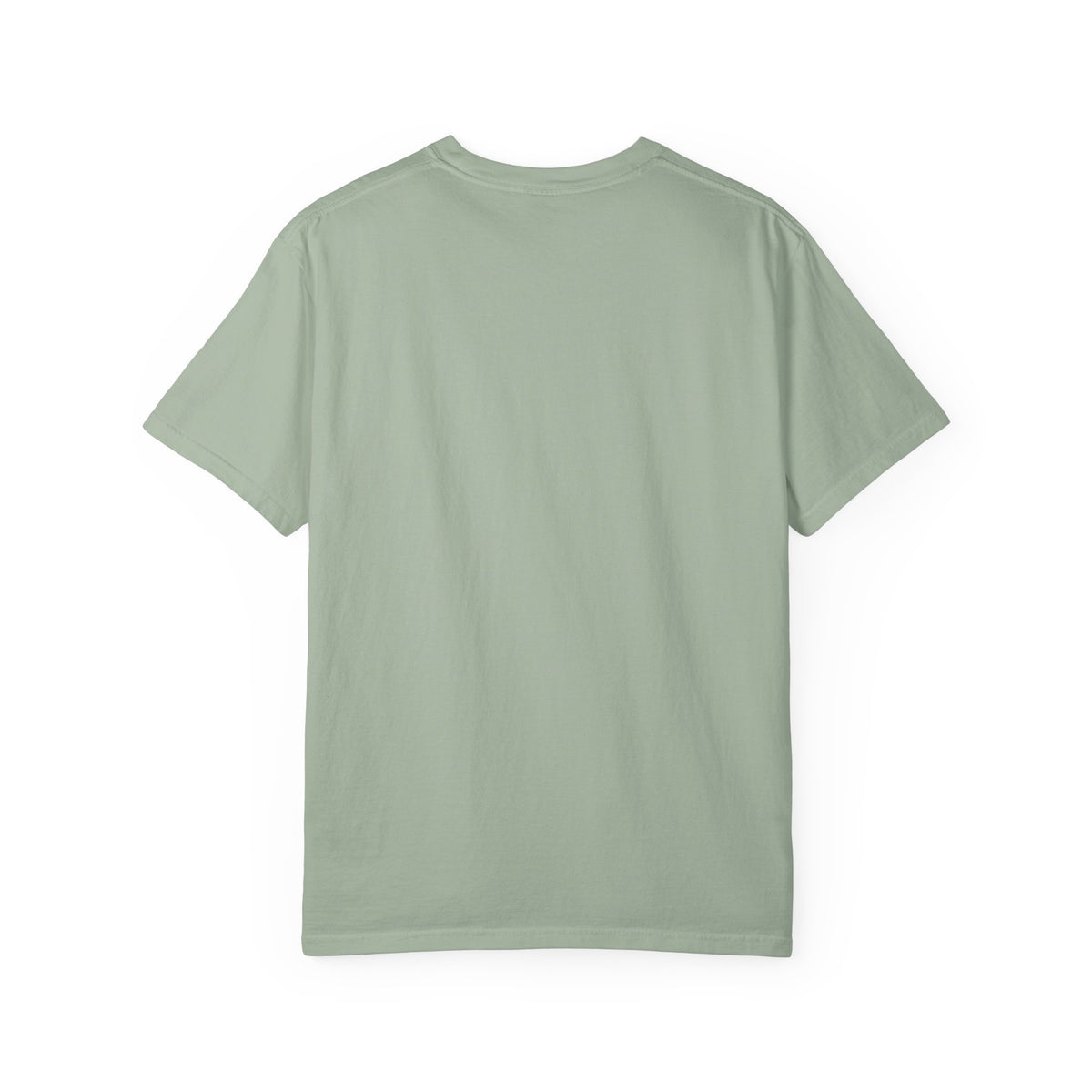 Rapid Deployment T
